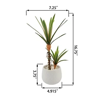 Flora Bunda® 17" Yucca Plant in White Ceramic Planter