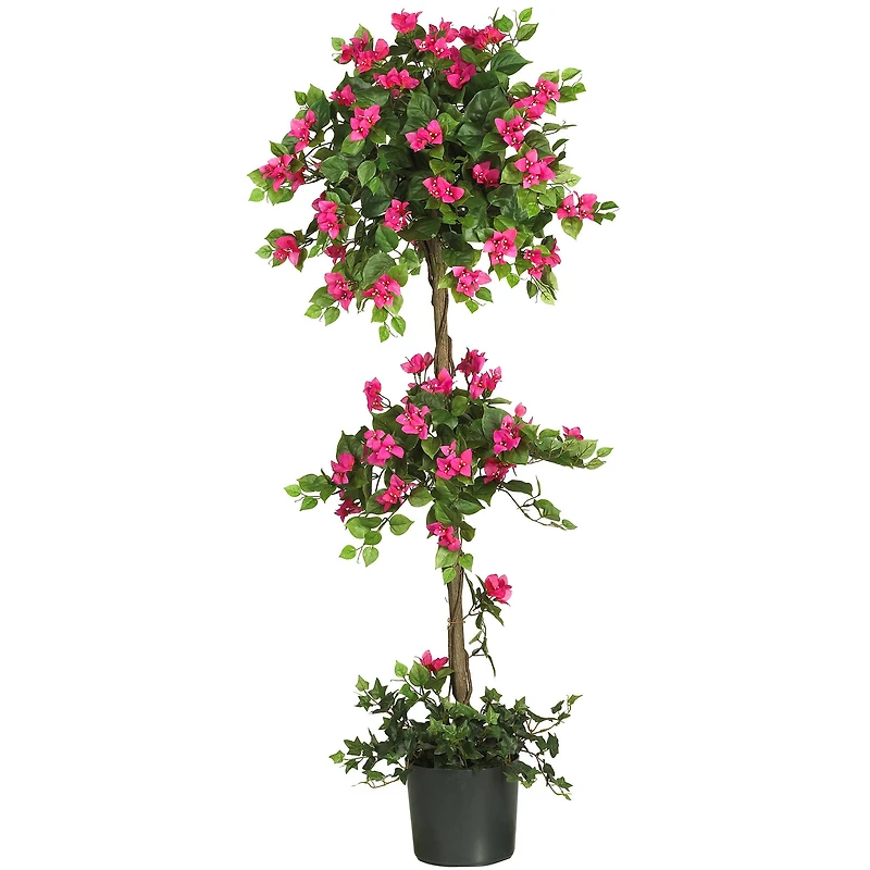 5ft. Potted Mini Bougainvillea Topiary