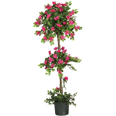 5ft. Potted Mini Bougainvillea Topiary