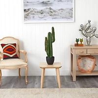 2.5ft. Potted Cactus Plant
