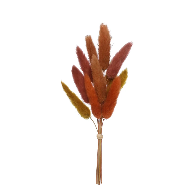 8.5" Dried Bunny Tail Grass Mini Bundle by Ashland®