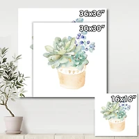 Designart - Succulent Flower In Terracotta Pot II