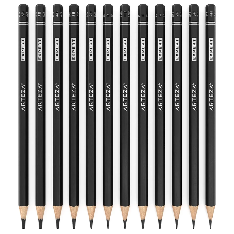 Arteza® Professional Graphite Drawing 12 Pencil Set