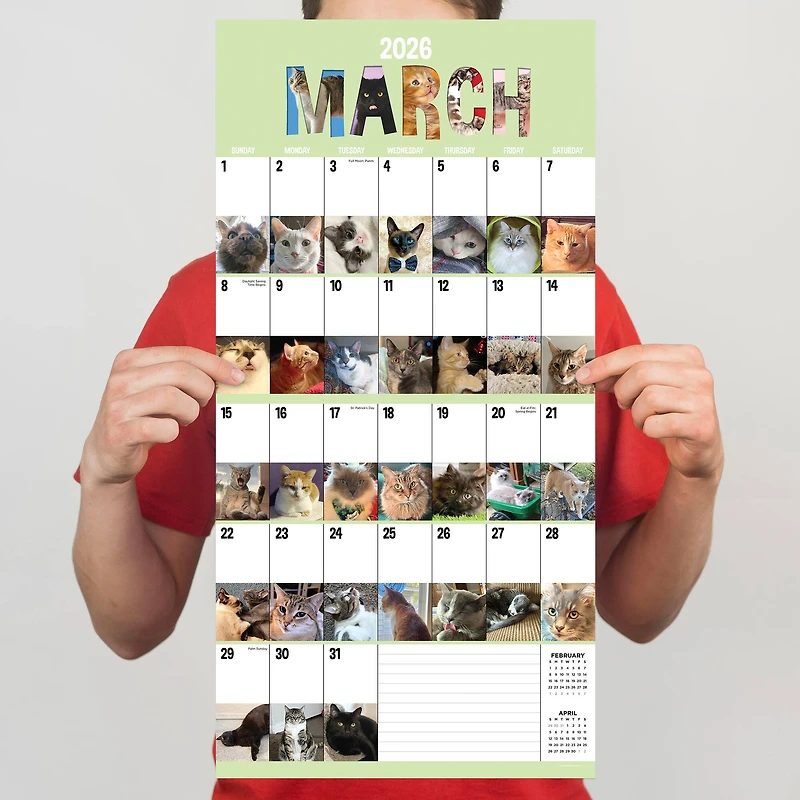 2026 Cat-A-Day Wall Calendar