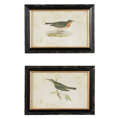 Black Wood Farmhouse Cottage Birds Wall Art Set