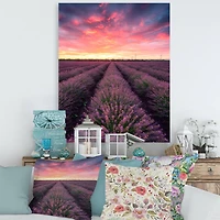 Designart - Sunrise & Dramatic Clouds Over Lavender Field XIV