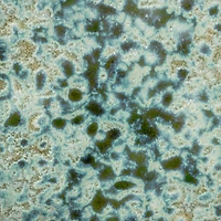 Hello Honey® 14.75" Green Stoneware Platters with Reactive Crackle Glaze, 6ct.