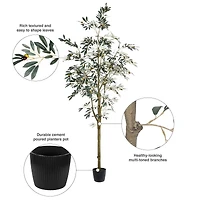 8ft. Potted Olive Tree