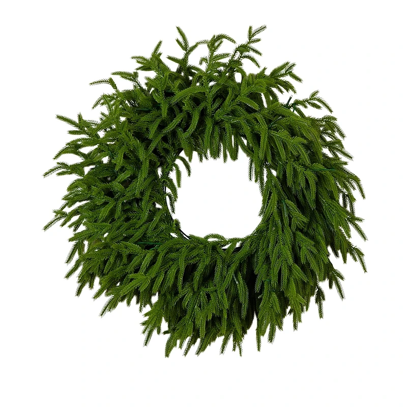 20in. Pre-Lit Artificial Real Touch Norfolk Island Pine Wreath with 35 Warm White LED Lights and Natural Look