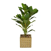 15" Glam Style Evergreen Artificial Foliage in Gold Porcelain Pot