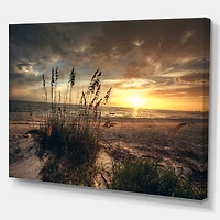 Designart - Grassy and beach sunset