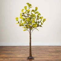 6ft. Pre-Lit Green Autumn Oak Artificial Fall Tree with 250 Warm White LED Lights