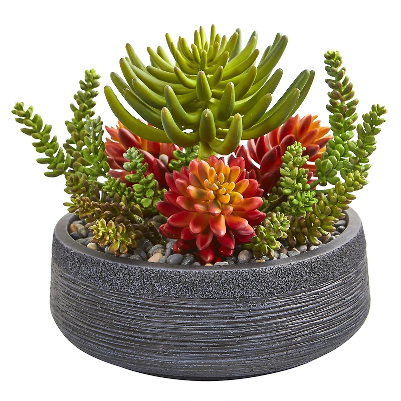 12in. Succulent Garden in Stone Bowl