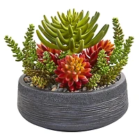 12in. Succulent Garden in Stone Bowl