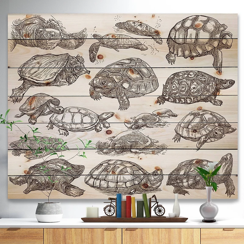 Designart - Turtles in Freehand sketching