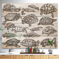 Designart - Turtles in Freehand sketching