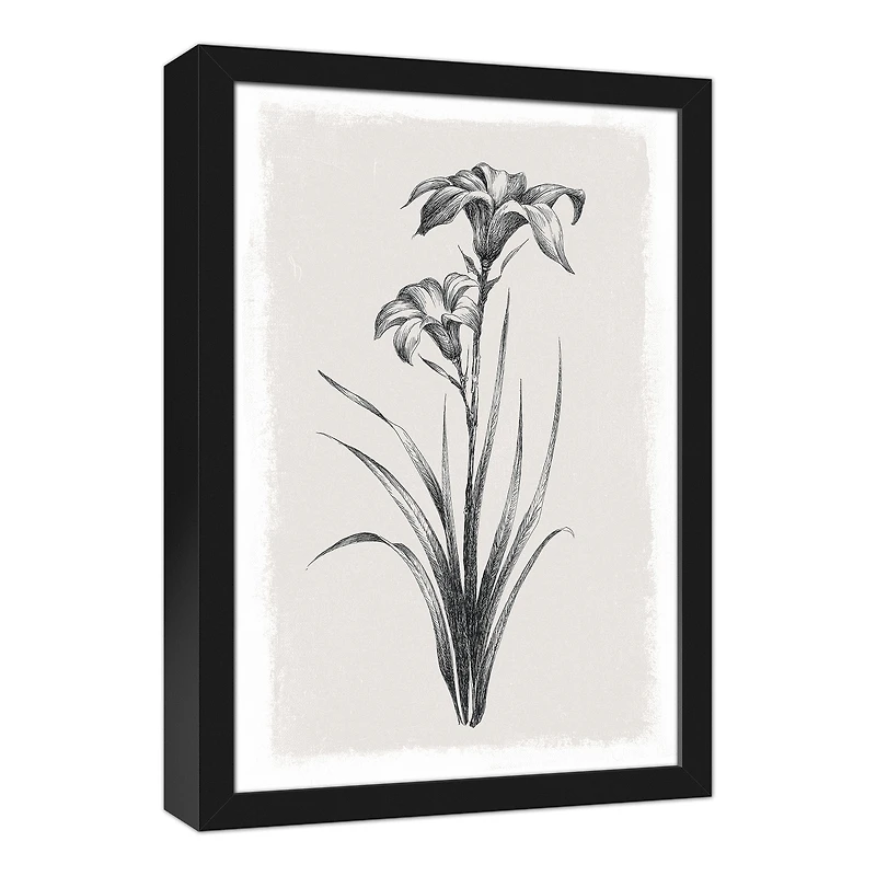 Sketchy Florals 13.73" x 19.73" Black Framed Canvas