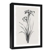 Sketchy Florals 13.73" x 19.73" Black Framed Canvas