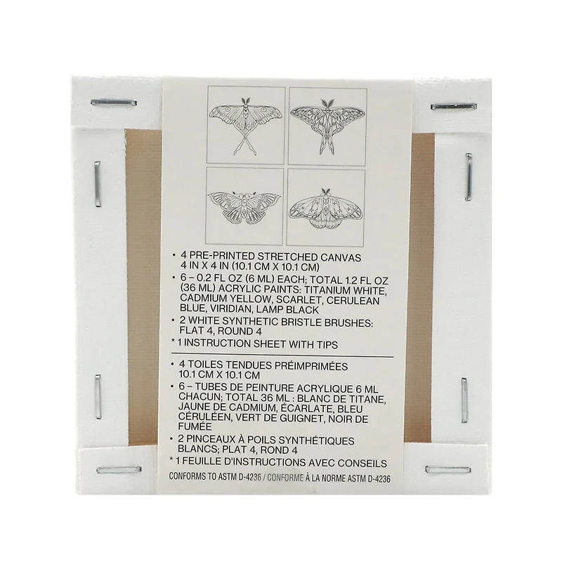 4" x 4" Moths Canvas Painting Kit by Craft Smart®