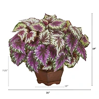 19" Wax Begonia in Decorative Planter