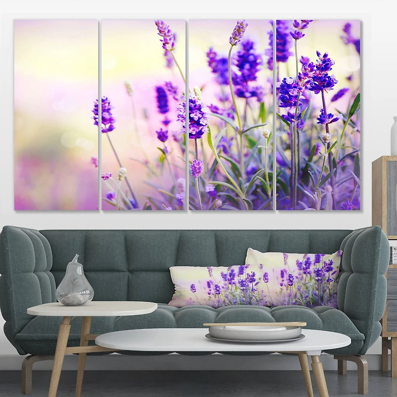 Designart - Purple Lavender Field