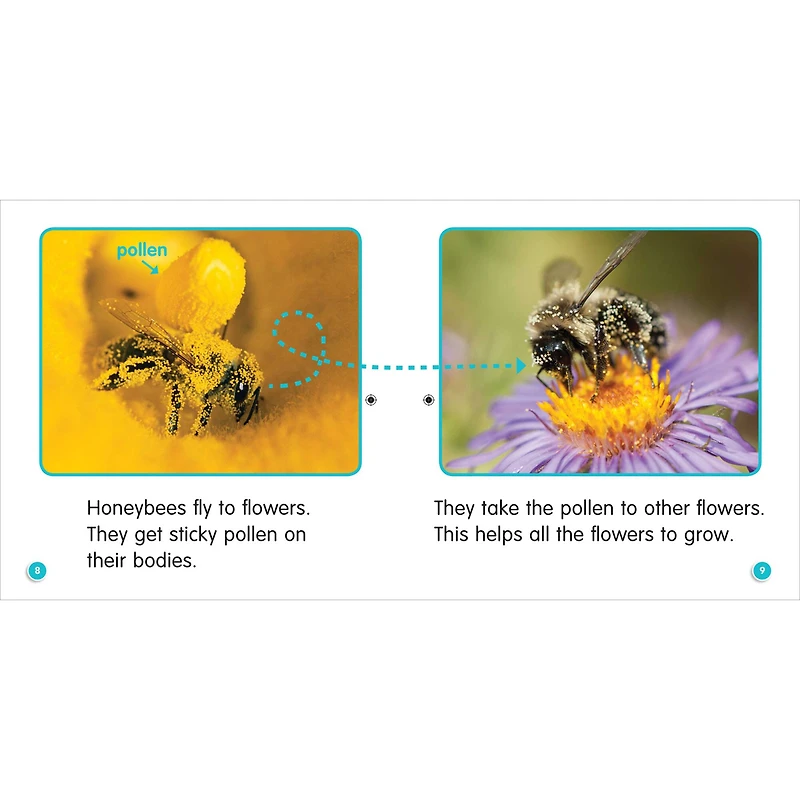 Scholastic Teaching Resources Guided Science Readers Levels E-F Parent Pack Book Set, 12ct.