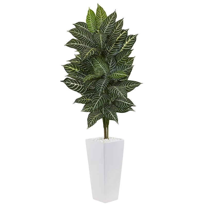 4ft. Zebra Plant in White Tower Planter