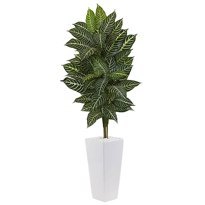 4ft. Zebra Plant in White Tower Planter