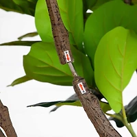 6ft. Artificial Grand Fiddle Leaf Tree in White Decorative Planter