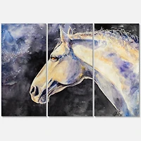 Designart - The Head of A Lipizzan Horse