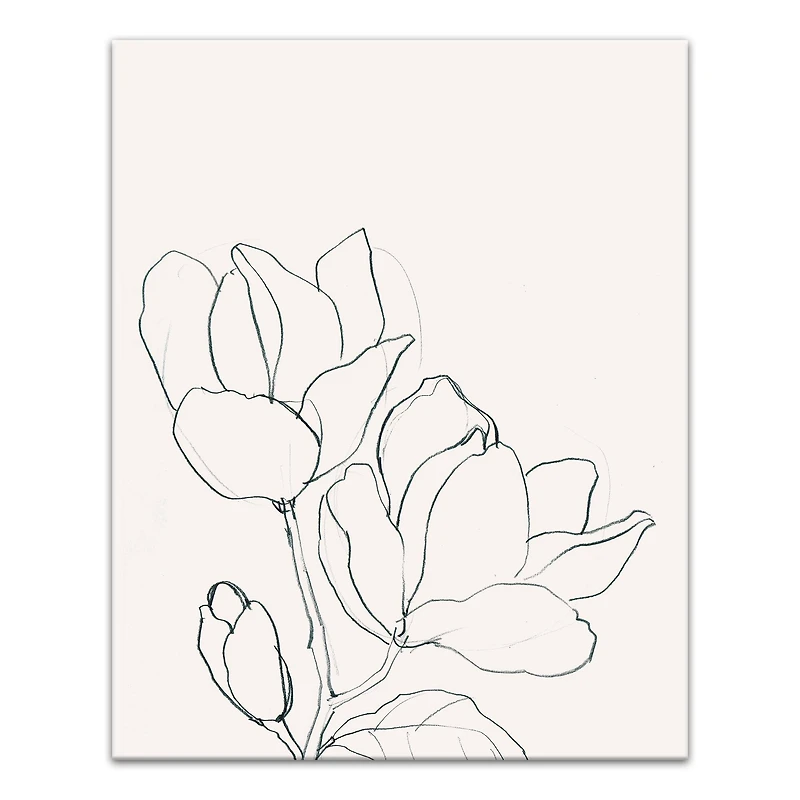 Magnolia Line Drawing 16" x 20" Canvas Wall Art