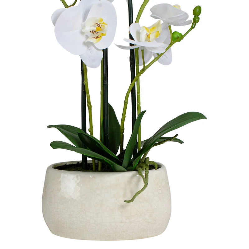 22" White Orchid Plant in White Oval Pot