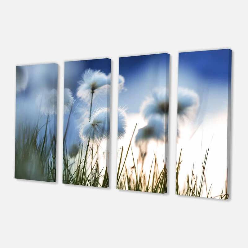 Designart - Beautiful Polar White Flowers