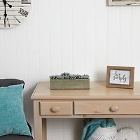 13.5" Succulent Garden with Textured Concrete Planter