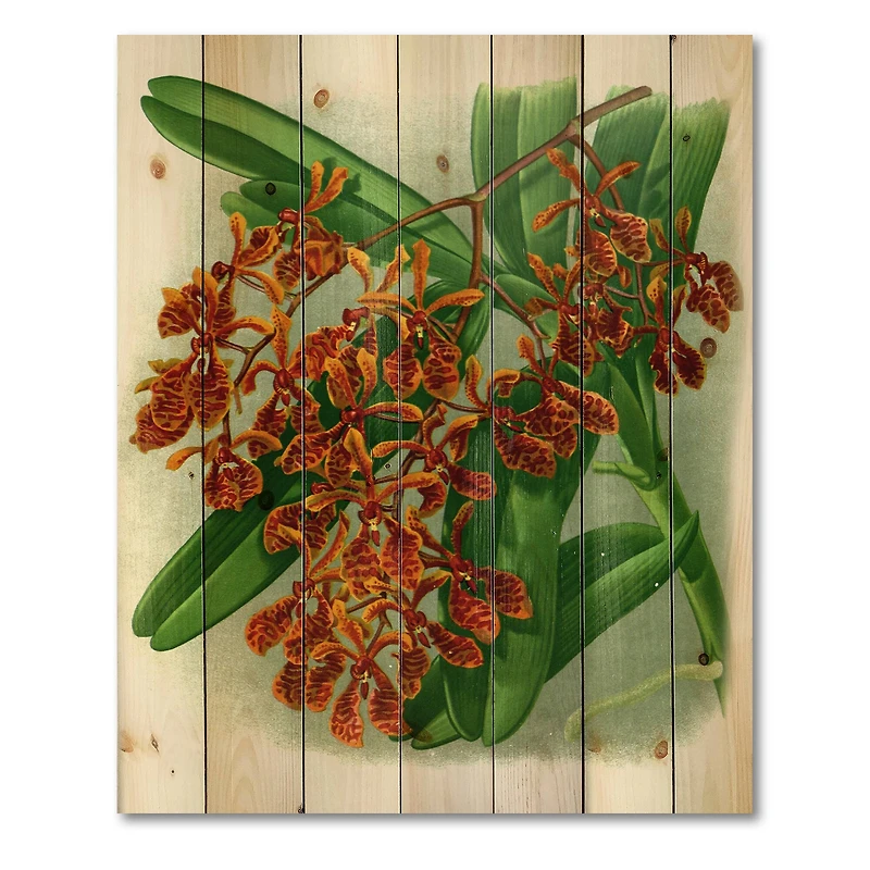 Designart - Retro Flowers II