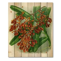 Designart - Retro Flowers II