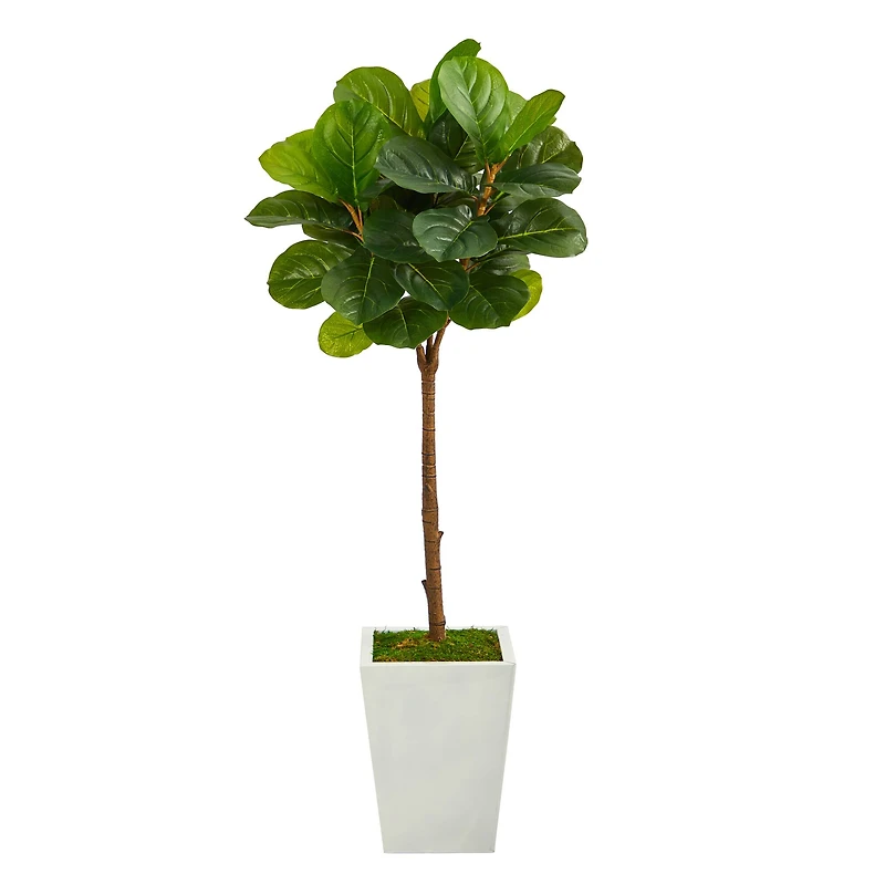 4ft. Fiddle Leaf Tree in White Metal Planter