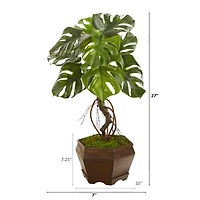 2.5ft. Monstera in Decorative Planter
