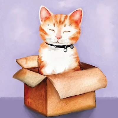 Cats Mini Canvas Painting Kit by Craft Smart®