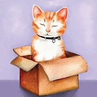 Cats Mini Canvas Painting Kit by Craft Smart®