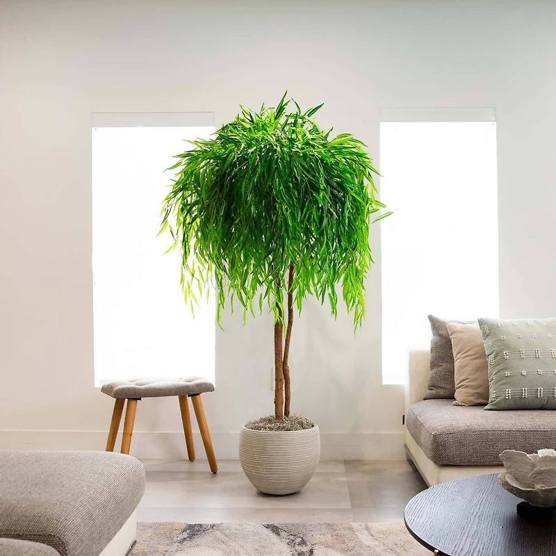 8ft. Real Touch Potted Willow Tree