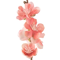 Peach Blossom Stem by Ashland