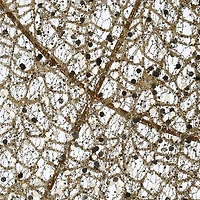 53" Pre-Lit LED Champagne Gold Praying Angel