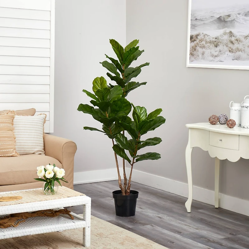 5.4ft. Potted Fiddle Leaf Tree