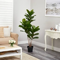 5.4ft. Potted Fiddle Leaf Tree 