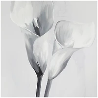 White Canvas Shaded Tulip Floral Framed Wall Art with Black Frame 37" x 1" x 37"