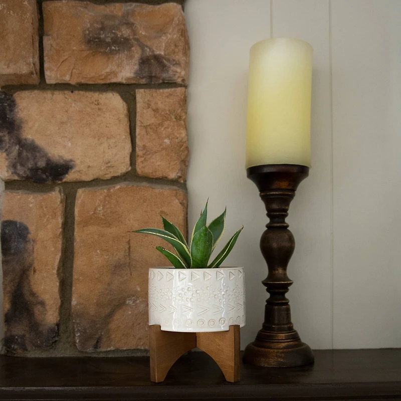 Flora Bunda® 5" Caveman Ceramic Planter on Wood Stand