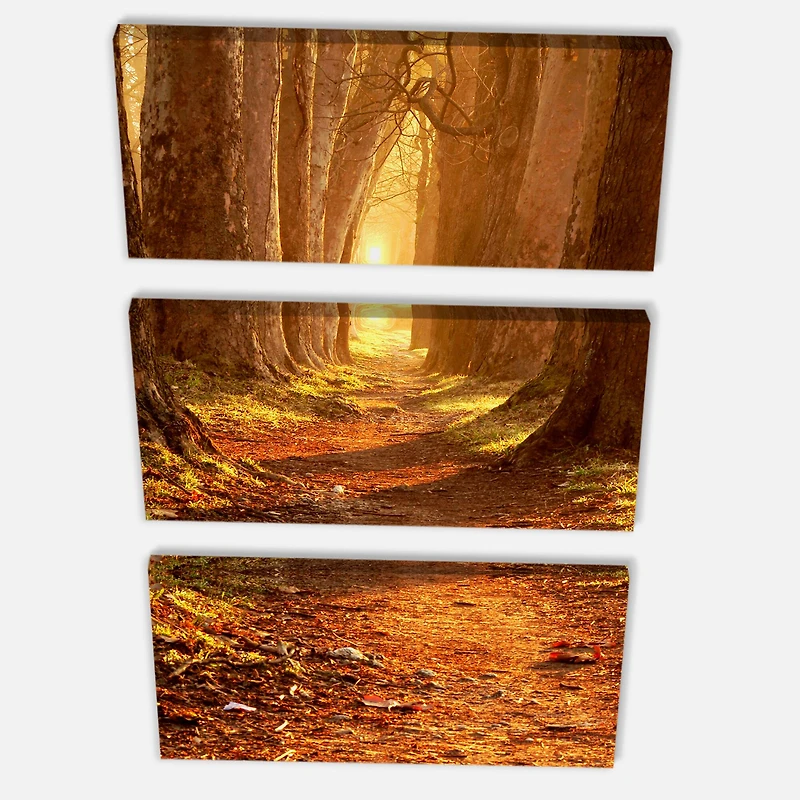 Designart - Magic Morning at the Fall Park