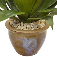 14" Agave Plant in Glazed Clay Pot