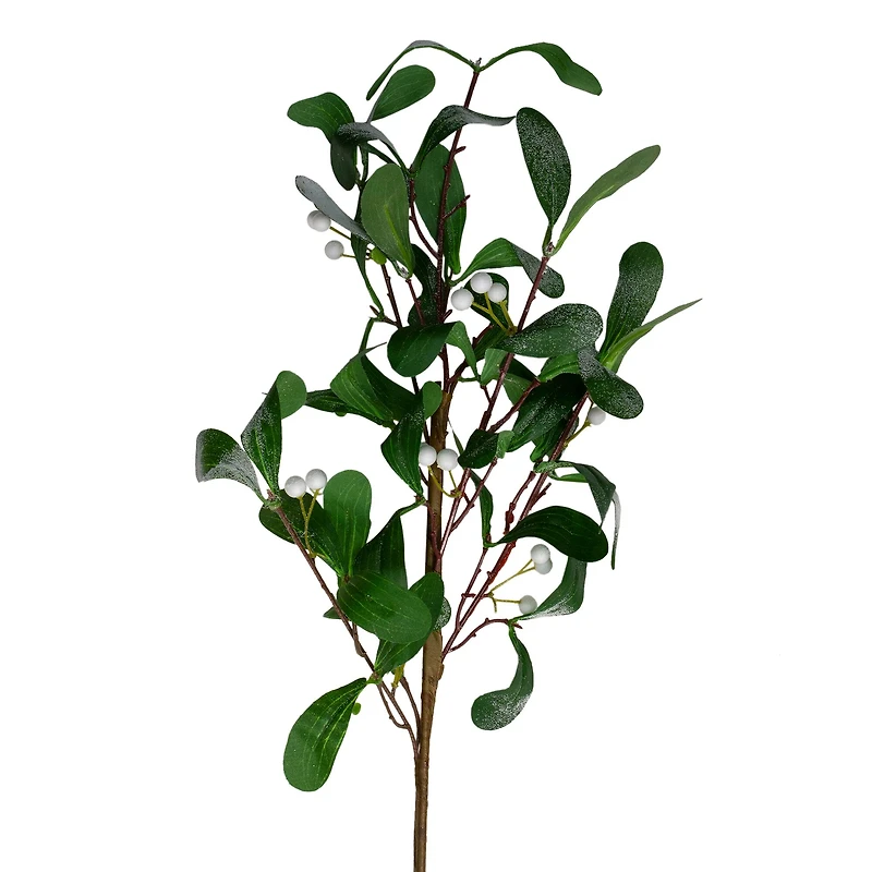 24" Green and White Snow Mistletoe Artificial Christmas Spray